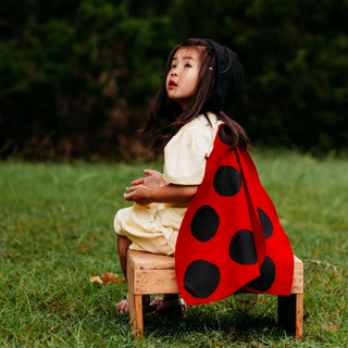 Ladybug Costume Wings