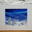 Load image into Gallery viewer, Spruce Peak Matted Print - 16x20