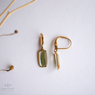 Botanical Tiny Rectangle Huggie Hoops - Queen Anne's Lace