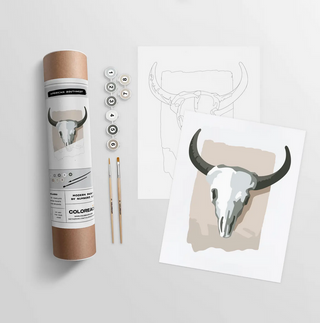 American Southwest Paint-By-Numbers Kit