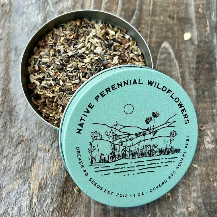 maine wildflower seed mix Wildflower Seeds - Native Perennial Mix