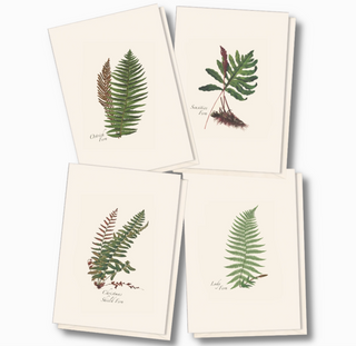 Fern Assortment - Set of 8 Notecards
