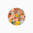 Load image into Gallery viewer, Single Coaster