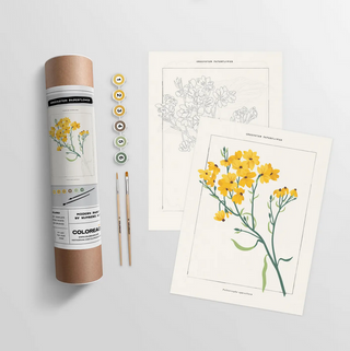 Greenstem Paperflower Botanical Paint-By-Numbers Kit