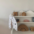 Load image into Gallery viewer, Leopard Moth Wings
