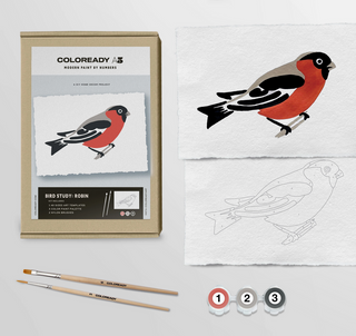 Robin: Bird Study Paint-By-Numbers