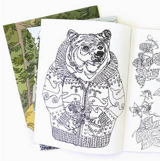 Wild Life Colouring Book