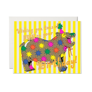 Star Hippos Card