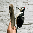 Load image into Gallery viewer, Handpainted Red Headed Woodpecker Wall Hanging