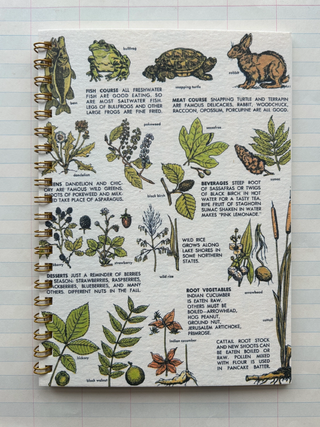 Wildlife Forager Notebook