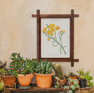 Greenstem Paperflower Botanical Paint-By-Numbers Kit