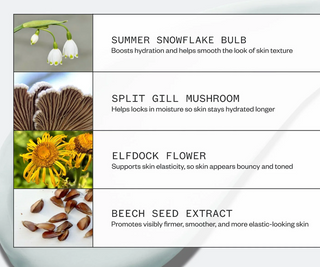 Ursa Major Vital Spring Hydration Mask