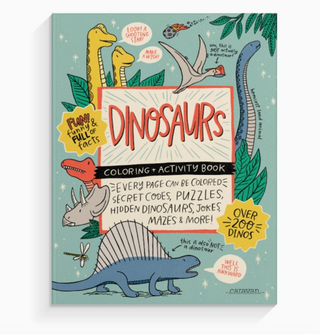 Dinosaurs Coloring Book