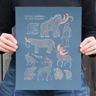 Exctinct Mammals of New England Print - 11x14