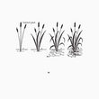 Load image into Gallery viewer, What To Draw And How To Draw It Book