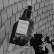 Load image into Gallery viewer, Toujours Tobacco Vanilla Eau de Parfum