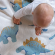 Load image into Gallery viewer, Dinosaur Blanket - Pacific/Rain/Oatmeal