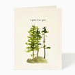 Load image into Gallery viewer, glorious pines card - FD1