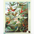 Load image into Gallery viewer, Hummingnbird Puzzle - 1000 Piece