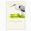 Load image into Gallery viewer, Set of 5 Large Bookplates - Great Blue Heron