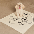 Load image into Gallery viewer, Dawgs Mini Blanket