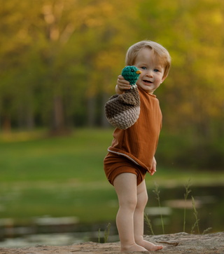 Drake the Mallard Duck Crochet Plush Toy