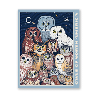 Owls of North America Puzzle