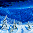 Load image into Gallery viewer, Spruce Peak Matted Print - 16x20