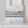 Load image into Gallery viewer, Summer Explorers Print - 8x8