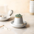 Load image into Gallery viewer, Farmhouse Pottery Devo Match Striker