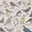 Load image into Gallery viewer, Birds of the Northeast Scratch Off Poster - 12x16