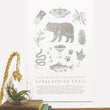 Load image into Gallery viewer, Appalachian Trail Field Guide Print - 11 x 17