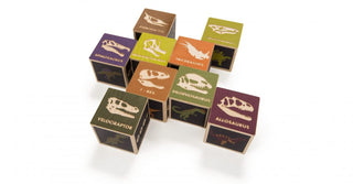 Dinosaur Blocks