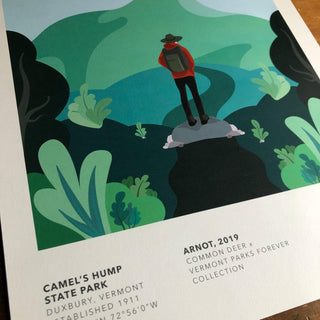 Vermont Parks Collection Print: Camel's Hump State Park 12x16
