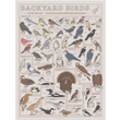 Load image into Gallery viewer, Birds of the Northeast Scratch Off Poster - 12x16