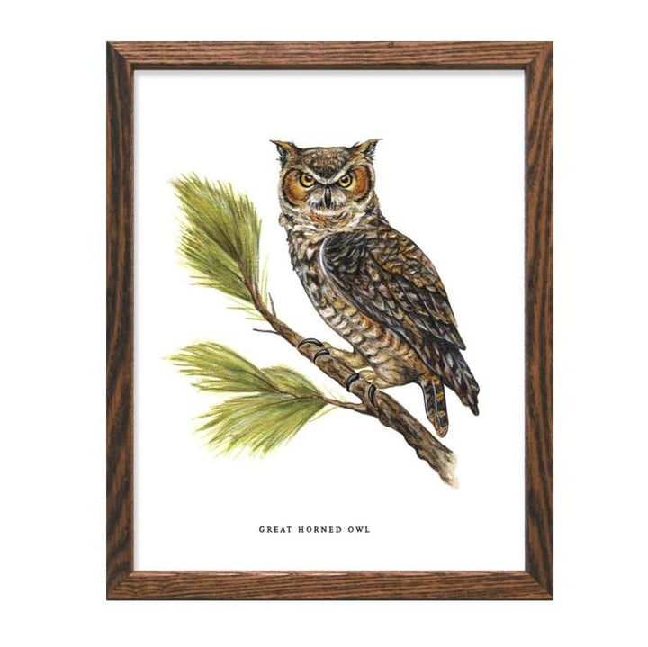 Great Horned Owl Print - 11x17