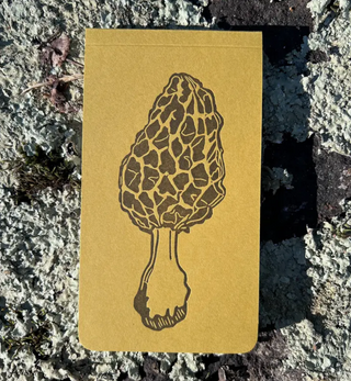 Morel Mushroom Jotter