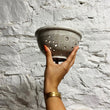 Load image into Gallery viewer, Laura White Pottery Berry Bowl With Plate