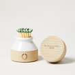 Load image into Gallery viewer, Farmhouse Pottery Milk Bottle Match Striker