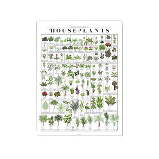 The Horticultural Chart of Houseplants - 16 x 20 PICKUP ONLY