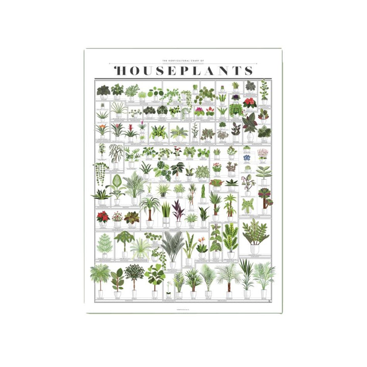 The Horticultural Chart of Houseplants - 16 x 20 PICKUP ONLY