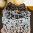 Load image into Gallery viewer, Chestnut Plush Owl Hatching Critter in Shell