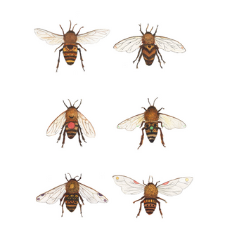 Botanical: The Bees Print - 8 x 10