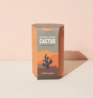 Terracotta Cactus Grow Kit