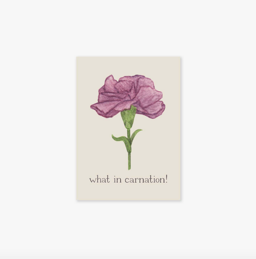 What In Carnation Sticker