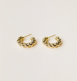 Golden Hoop Twisted Earrings