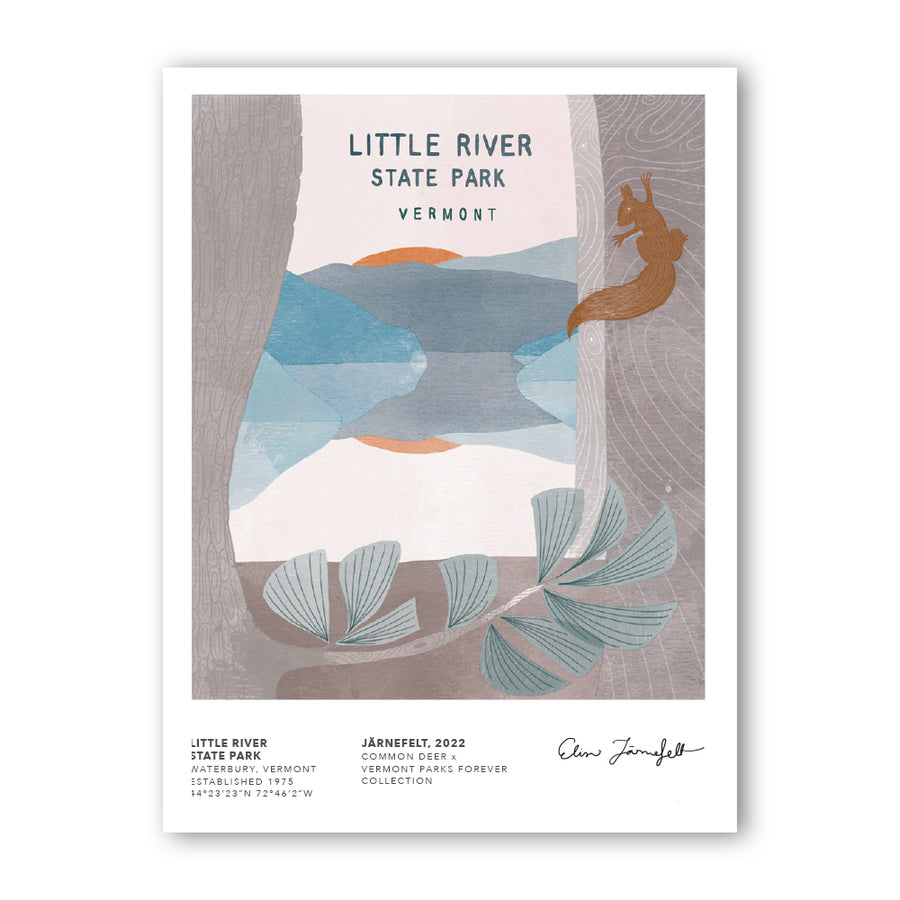 Vermont Parks Collection Print: Little River State Park, Elisa Jarnefelt 12x16