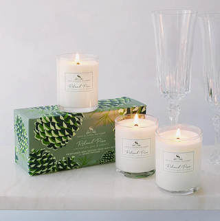 Soap &amp; Paper Co Roland Pine Soy Candle Votive Gift Set