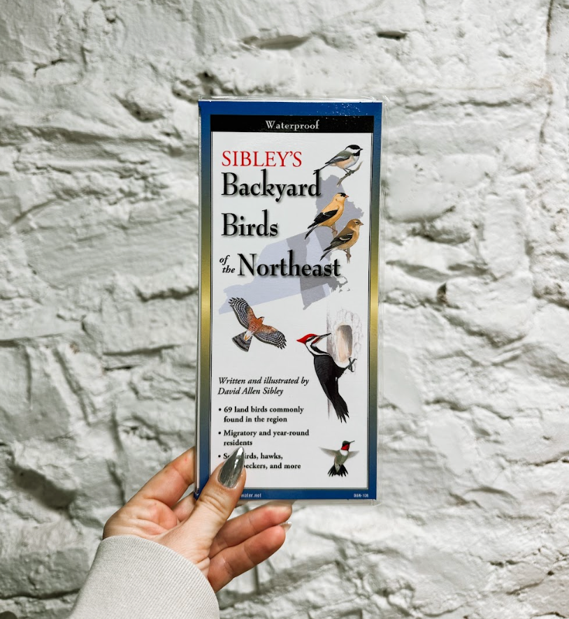 Sibley's Backyard Birds of the Northeast Folding Guide