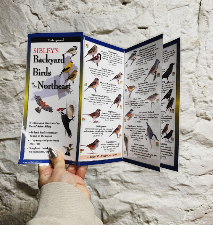 Sibley's Backyard Birds of the Northeast Folding Guide